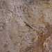 Il sito si trova nel parco dellAlta Murgia, in localit Cavone.  qui, in un piccolo riparo profondo 60 centimetri inserito in una parete rocciosa, che si trova il masso archeologico: una pietra levigata situata sul pavimento segnata da numerose incisioni
